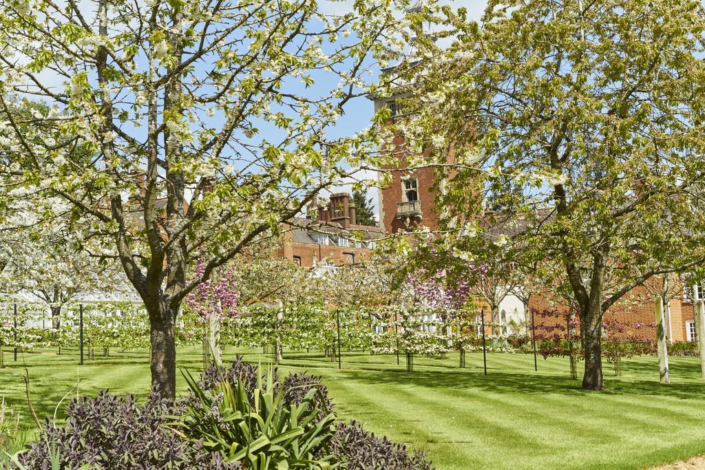 Tylney Hall Hotel Hook  Eksteriør bilde